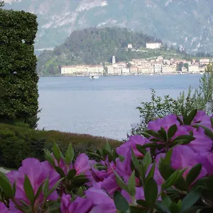 Charming Glicine And Azalea House Art And Colour With Lakeview Cadenabbia